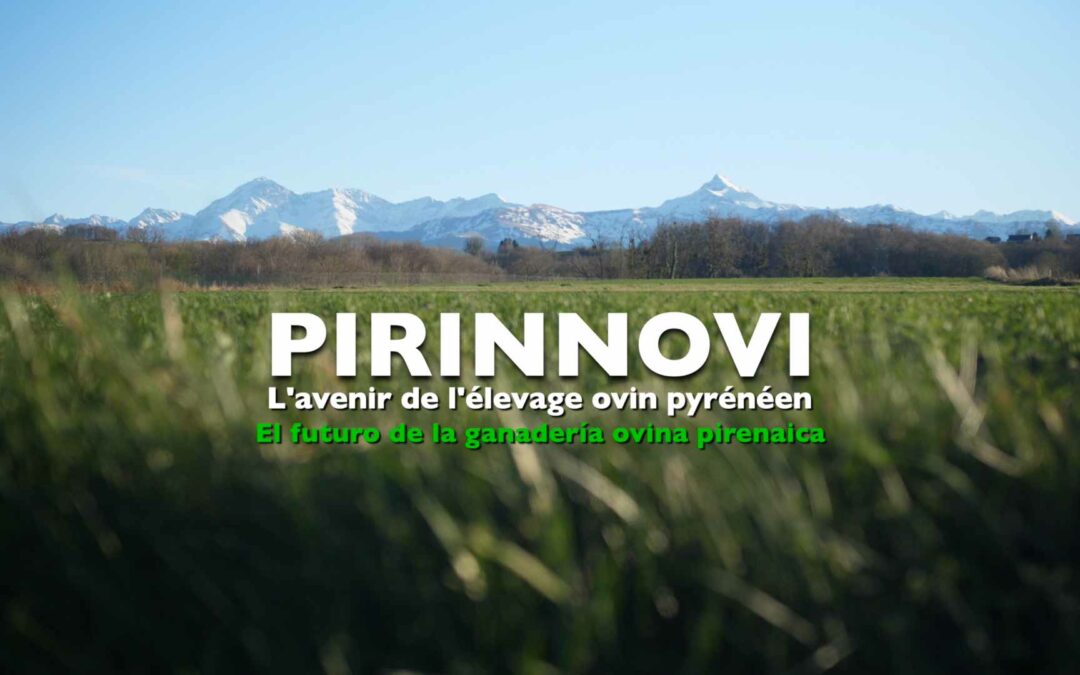 Pirinnovi, disponible sur la chaîne de l’ACAP